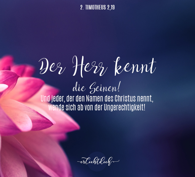 Bibelsprüche für den Alltag